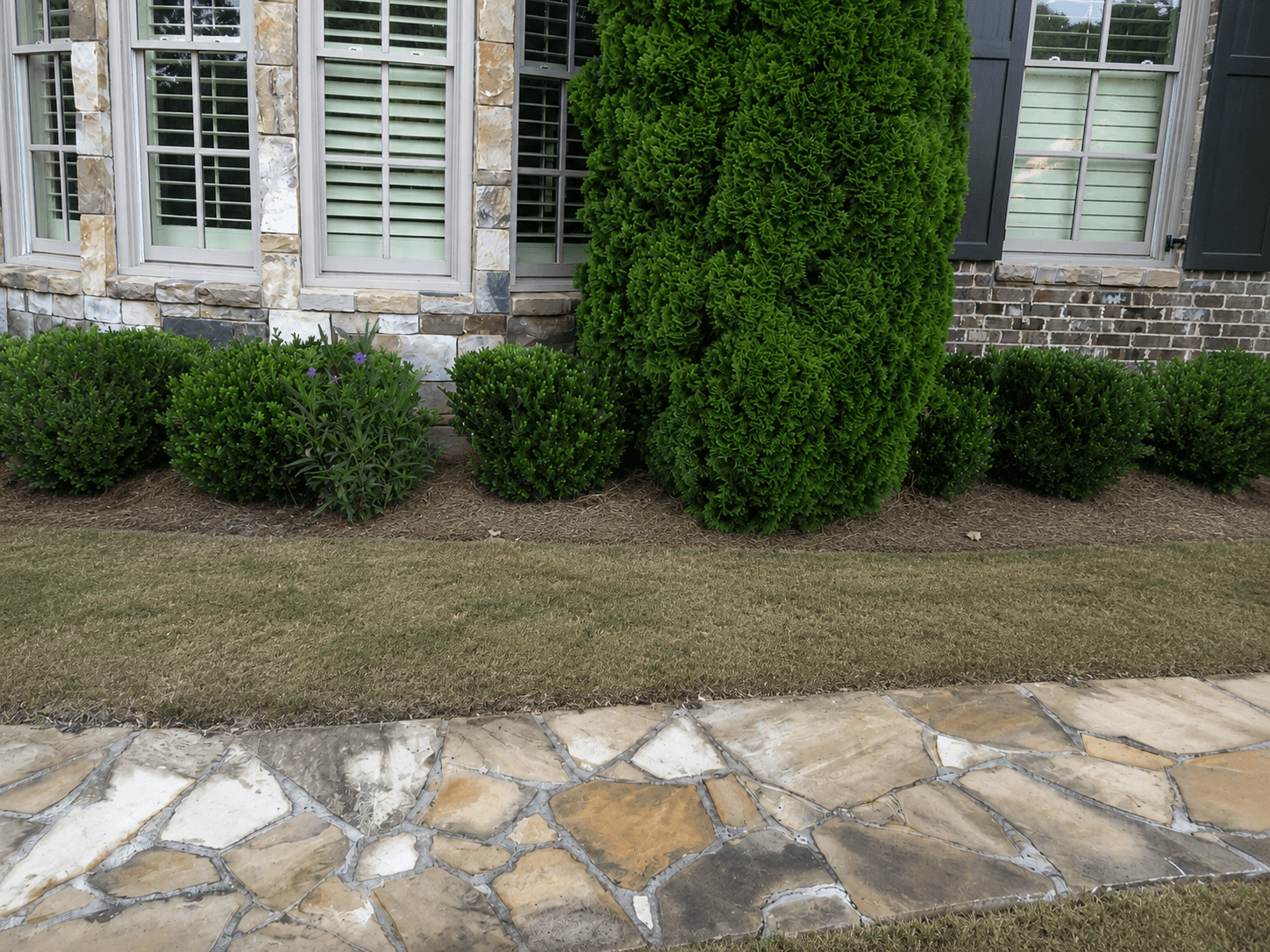 Commercial grounds before landscaping improvements