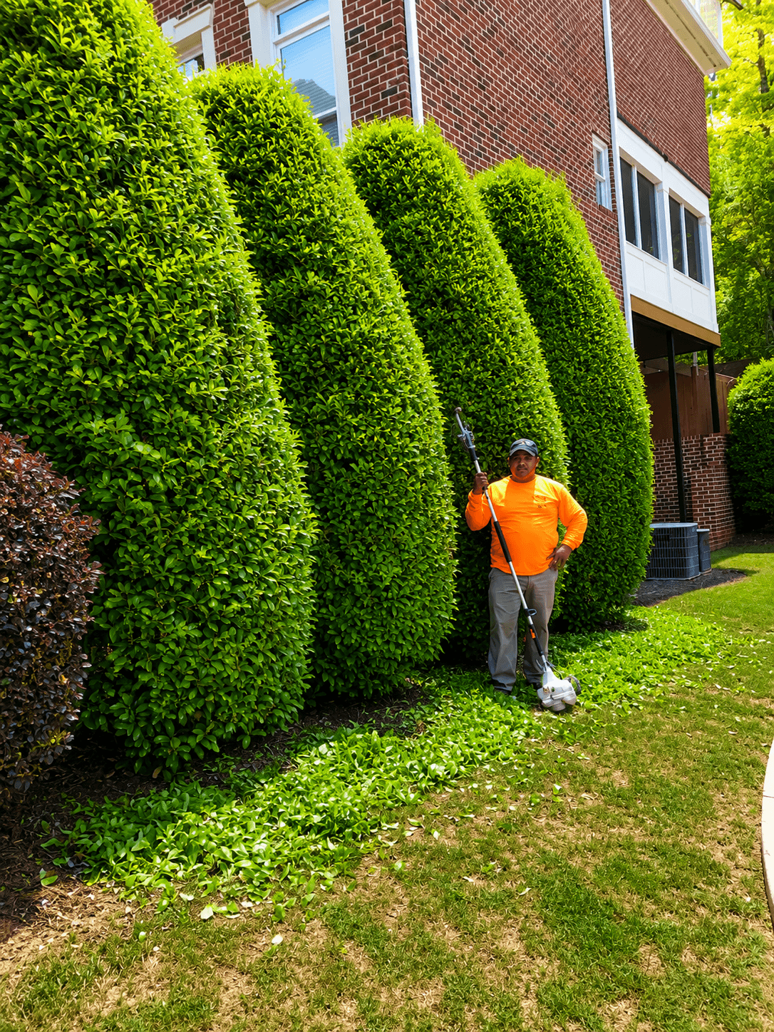 Residential landscaping service
